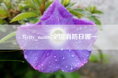 齐河全国消防日哪一