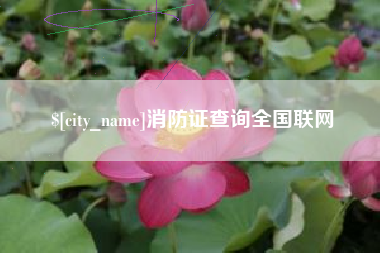 齐河消防证查询全国联网