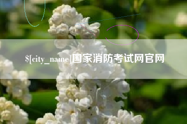 齐河国家消防考试网官网
