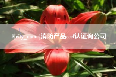 齐河消防产品cccf认证询公司