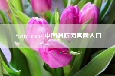 齐河中国消防网官网入口