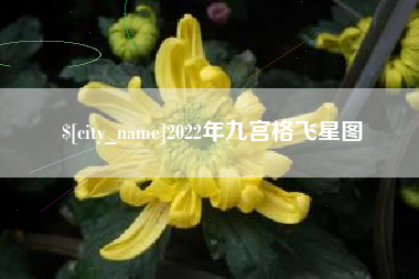 齐河2022年九宫格飞星图