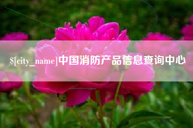 齐河中国消防产品信息查询中心