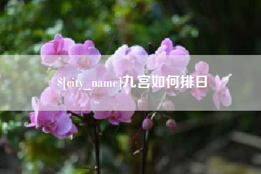 齐河九宫如何排日