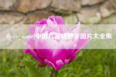 齐河中国九宫格数字图片大全集