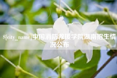 齐河中国消防救援学院湖南招生情况公布