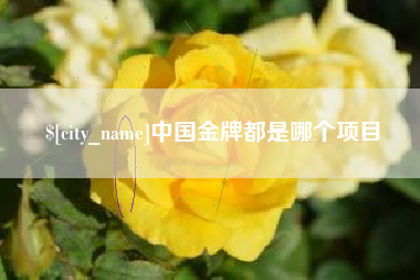 齐河中国金牌都是哪个项目