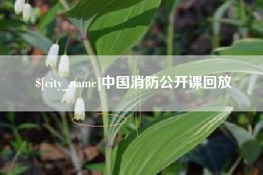 齐河中国消防公开课回放