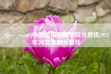 齐河中国消防救援学院分数线2023年河北录取分数线