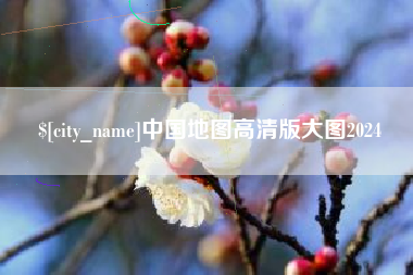 齐河中国地图高清版大图2024