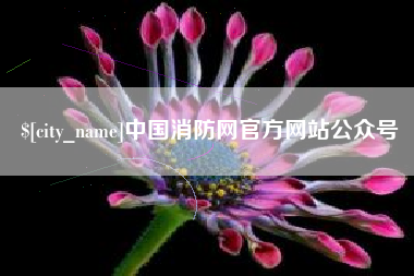 齐河中国消防网官方网站公众号