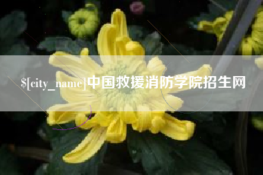 齐河中国救援消防学院招生网