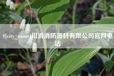 齐河川消消防器材有限公司官网电话