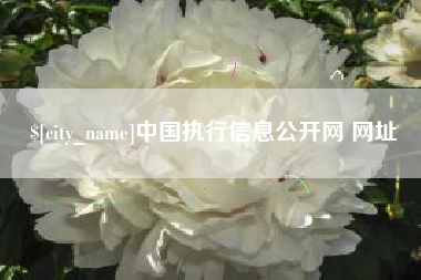 齐河中国执行信息公开网 网址
