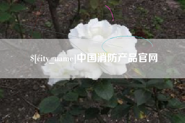 齐河中国消防产品官网
