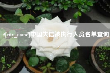 齐河中国失信被执行人员名单查询