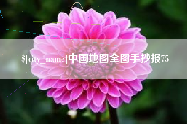 齐河中国地图全图手抄报75