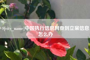 齐河中国执行信息网查到立案信息怎么办