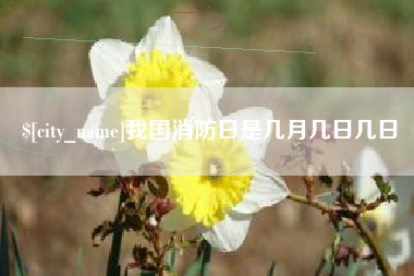 齐河我国消防日是几月几日几日