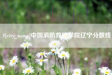 齐河中国消防救援学院辽宁分数线