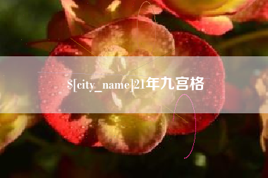 齐河21年九宫格