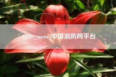 齐河中国消防网平台
