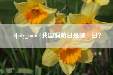 齐河我国消防日是哪一日？