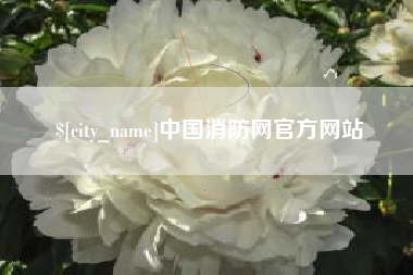 齐河中国消防网官方网站