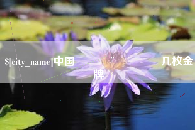齐河中国🇨🇳几枚金牌
