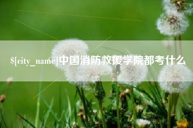齐河中国消防救援学院都考什么