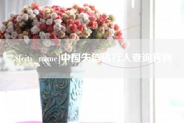 齐河中国失信执行人查询官网