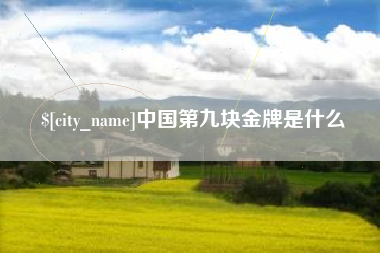 齐河中国第九块金牌是什么