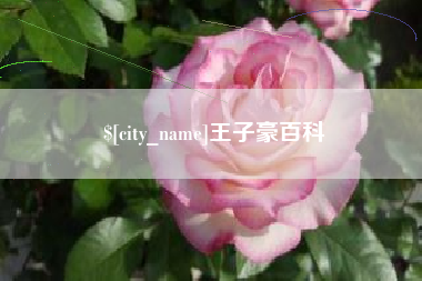 齐河王子豪百科