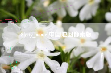 齐河中国地图像素版
