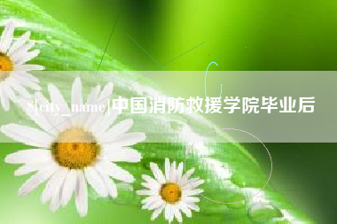 齐河中国消防救援学院毕业后