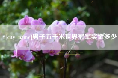 齐河男子五千米世界冠军奖金多少