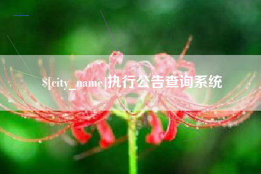 齐河执行公告查询系统