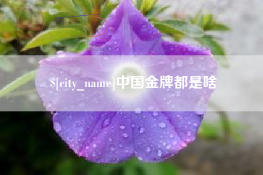齐河中国金牌都是啥