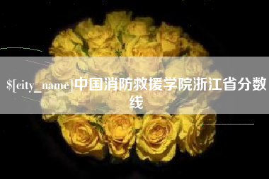齐河中国消防救援学院浙江省分数线