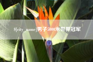 齐河男子5000米世界冠军