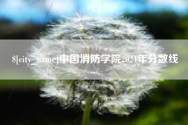 齐河中国消防学院2024年分数线