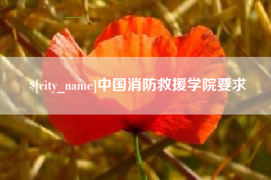 齐河中国消防救援学院要求