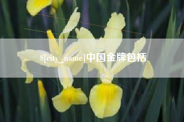 齐河中国金牌包括