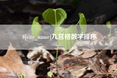 齐河九宫格数字排序