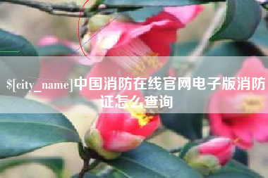 齐河中国消防在线官网电子版消防证怎么查询