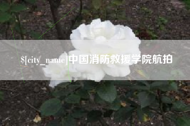 齐河中国消防救援学院航拍