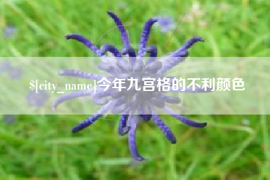 齐河今年九宫格的不利颜色