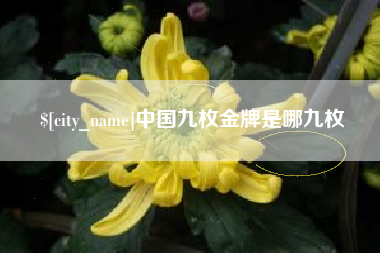 齐河中国九枚金牌是哪九枚