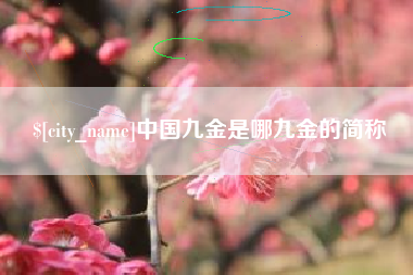 齐河中国九金是哪九金的简称