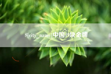 齐河中国19块金牌